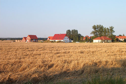 280702.jpg (52298 Byte)